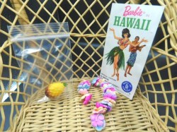 barbie hawaii almost comp view